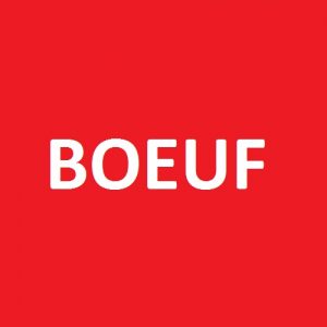 VIANDE DE BOEUF