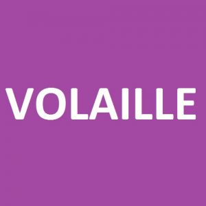 VIANDE DE VOLAILLE