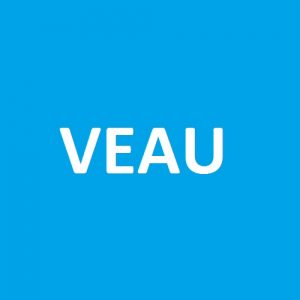 VIANDE DE VEAU